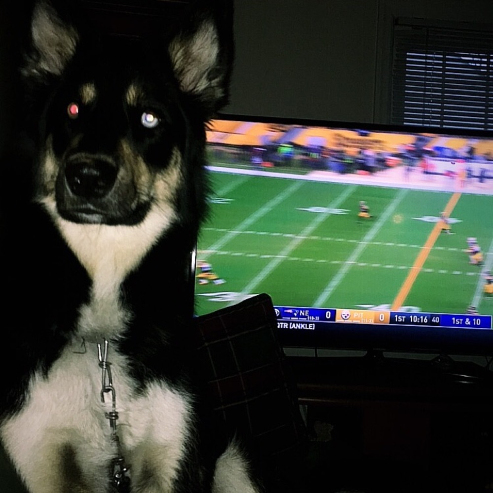 Meet your Posher, Gaby